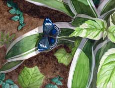 Fauna & Flora Paintings