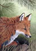 Animal Paintings