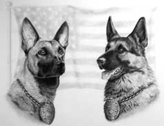 Tribute and Memorial Gifts