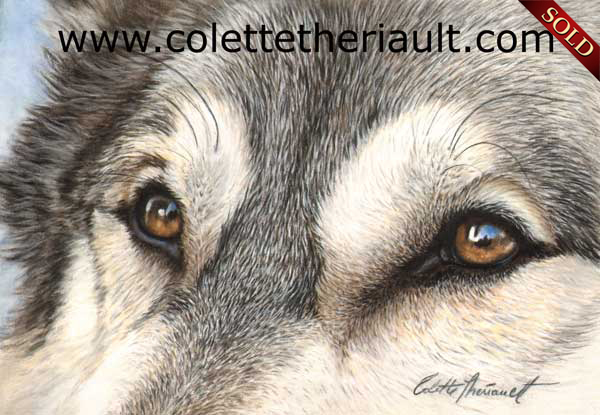 wolf eyes painting