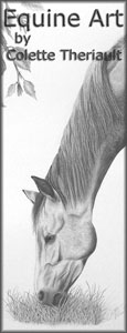 Equine Art by Colette Theriault