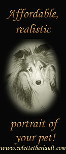 Pet Portraits by Colette Theriault